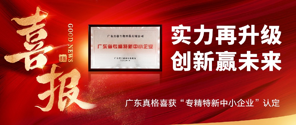 實力再升級，創新贏未來！ ——廣東真格喜獲“專精特新中小企業”認定